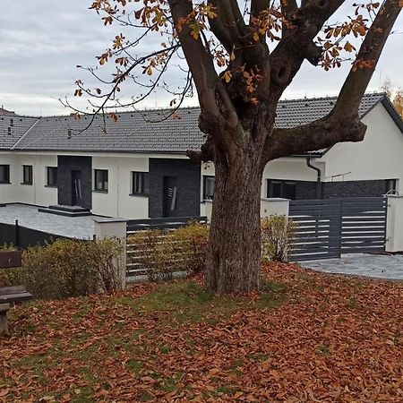 Apartmany Volavka 1 Planá nad Lužnicí Екстериор снимка
